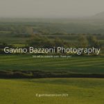 gavinobazzoni-com