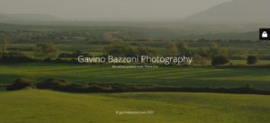 gavinobazzoni-com