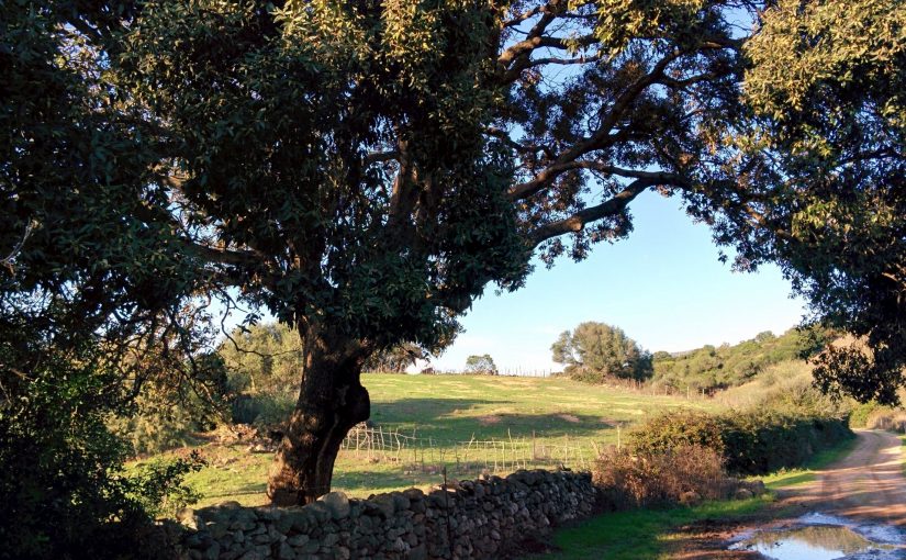 Sardegna fuori dal tempo e dalla storia