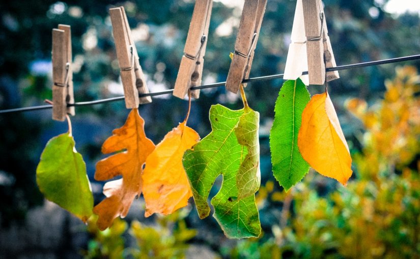 Colori di autunno
