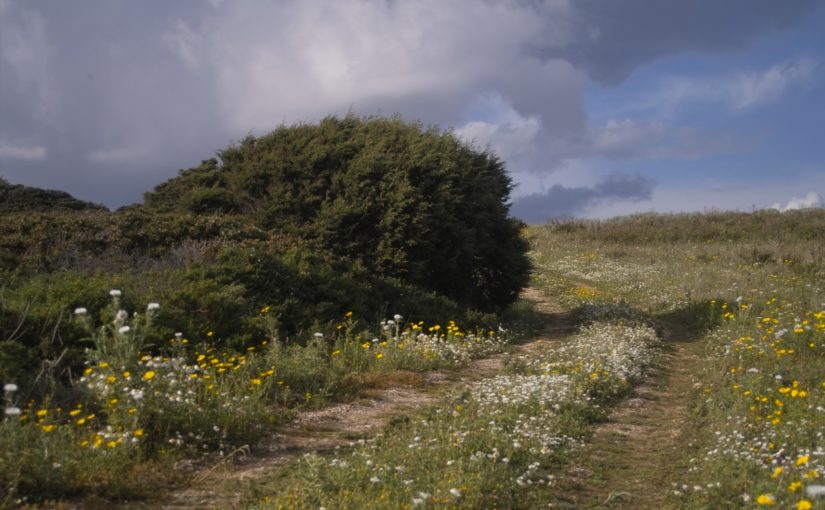 Fotografia di paesaggio