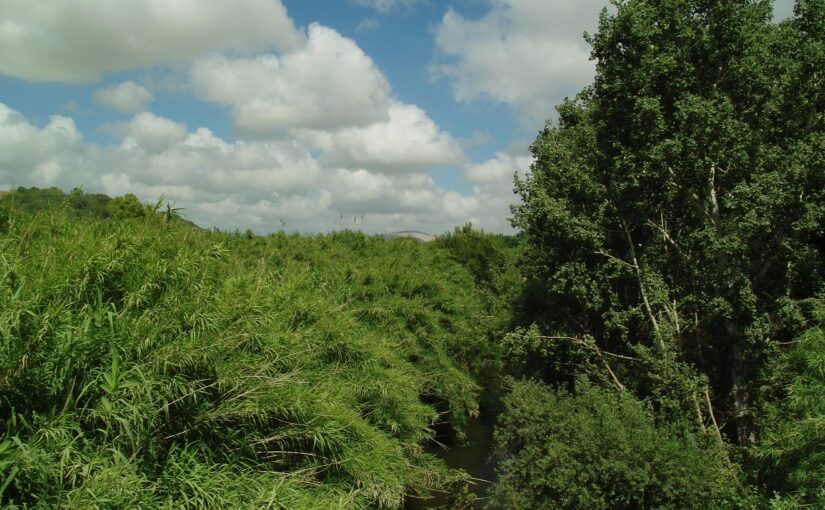 Rio Mannu